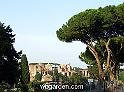 wbgarden roma pines 181